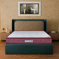 Dream Pro Comfort Neo Plustop