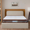 Dream Pro Ortho Cool Rebond Eco - ST Mattress