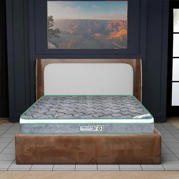 Dream Pro Spine core Mattress
