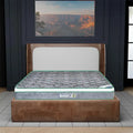 Dream Pro Spine core Mattress