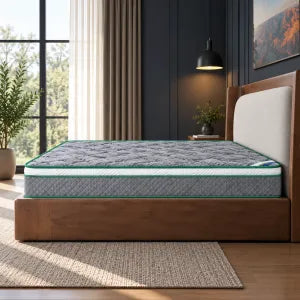 Dream Pro Spine core Mattress