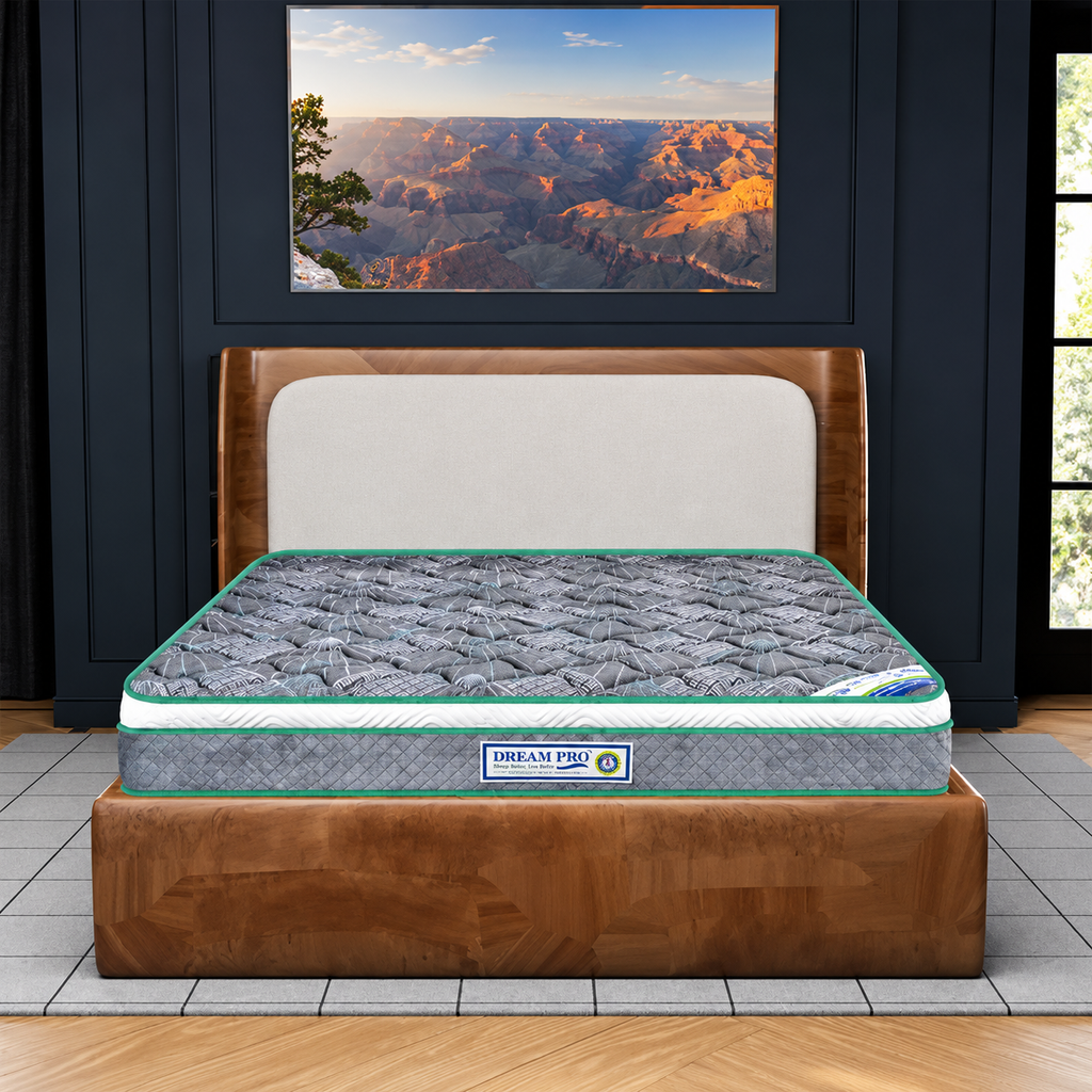Dream Pro Spine core Mattress