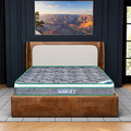Dream Pro Spine core Mattress